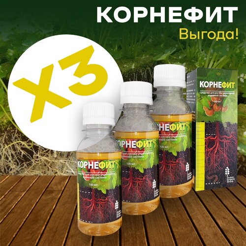 ������ ������ ��������� ��� �������� �������, 3 ��, 300 �� ����