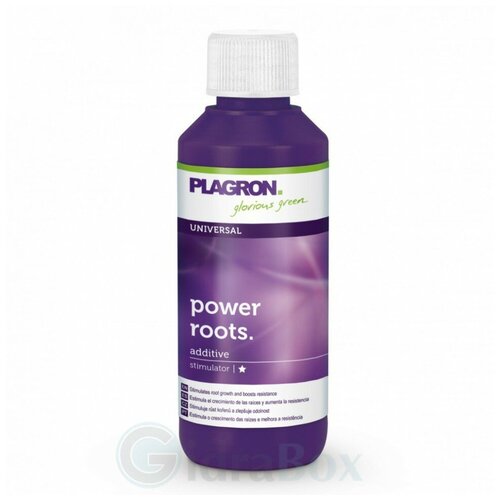 ������ ������ ���������� ���������������� Plagron Power Roots 100 �� ��� �������� ����