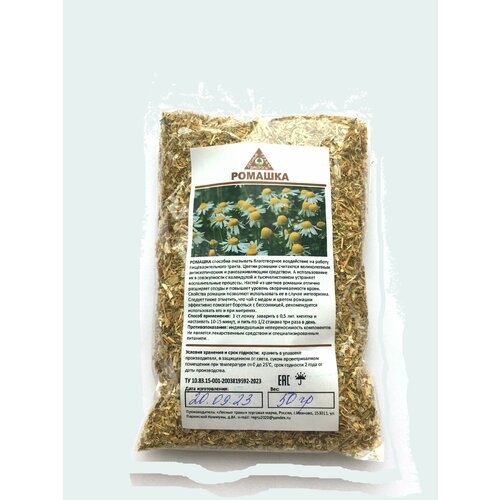 ������ ������ ������� 100��. ������ ���������� ����