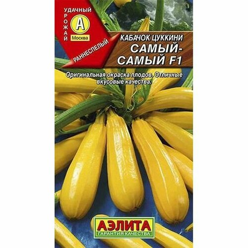 ������ ������ ������ ������� �����-����� ������� F1 (������) 5�� ����