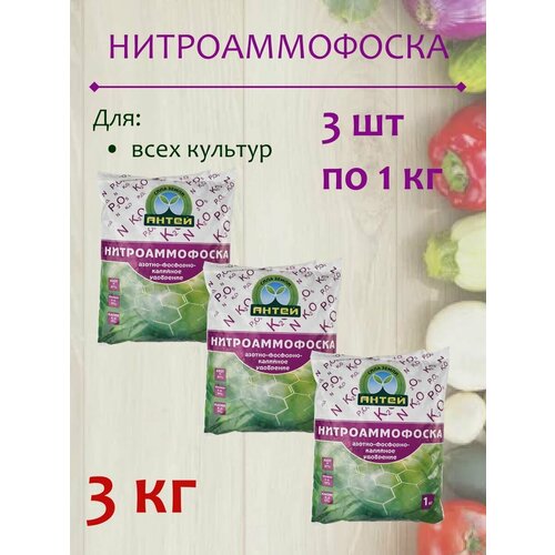 ������ ������ ��������� ��������������, 3 �� ����