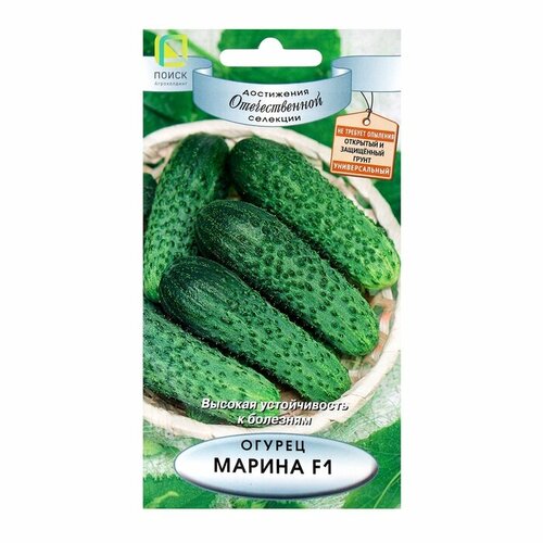 ������ ������ ������ ������ ������, F1, 12�� ����