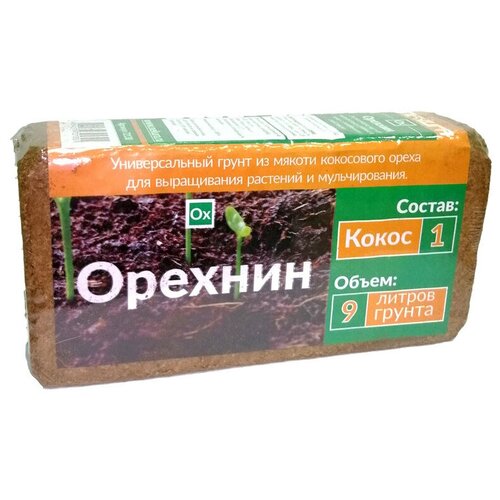 ������ ������ ��������� ��������, ��������� �����, �������-1, ������ 9 �, Nekura, 2 ��. ����