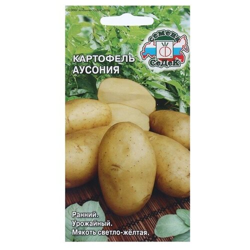 ������ ������ ��������� �������* ����