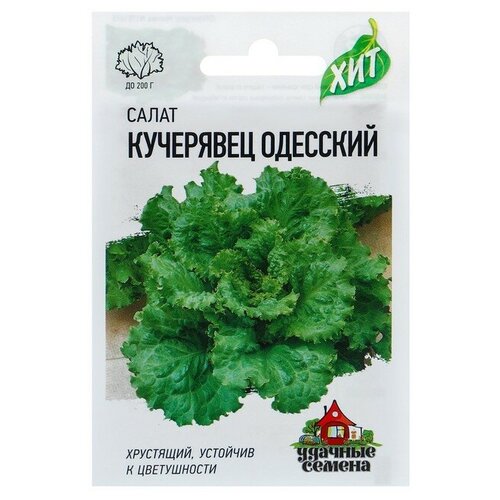 ������ ������ ������ ����� 