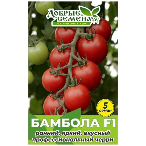 ������ ������ ������ ������ ������� F1 - 5 �� - ������ ������. �� ����