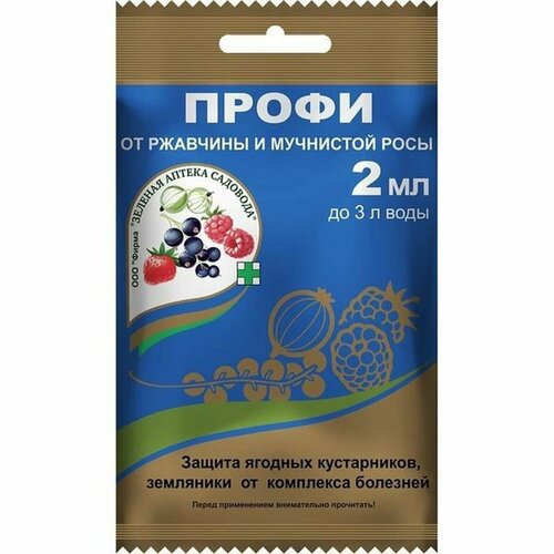 ������ ������ ����� 2�� ������� ������ �������� ����