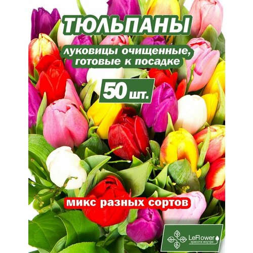 ������ ������ ������� ��������, ���� ������, 50�� (LeFlower) ����