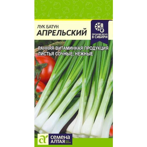 ������ ������ ������ ��� ����� ���������� 1� ������ (������ �����) ����