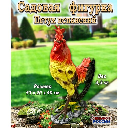 ������ ������ ������� ������� ����� ���������, ����� ��� ����, ���� � ������� ����