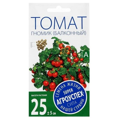 ������ ������ ������ ����� 