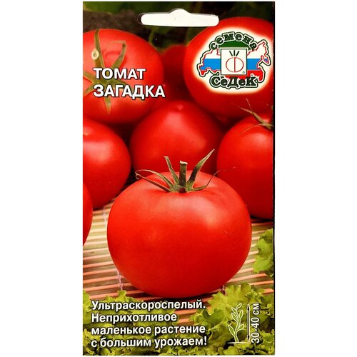 ������ ������ ����� ������� ����