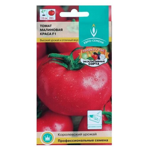 ������ ������ ������ ����� 