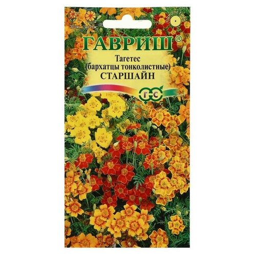 ������ ������ ������ ������ �������� 