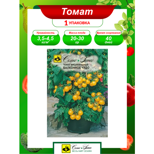 ������ ������ ������ ����� ��������� ���� ������ ����������� 0,05 ��. ����