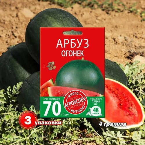 ������ ������ ������ ��������� ����� ������ 4� 3 �������� ����