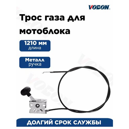 ������ ������ ���� ���� ��� ��������� 1210 ��, � ����� � ������ ����