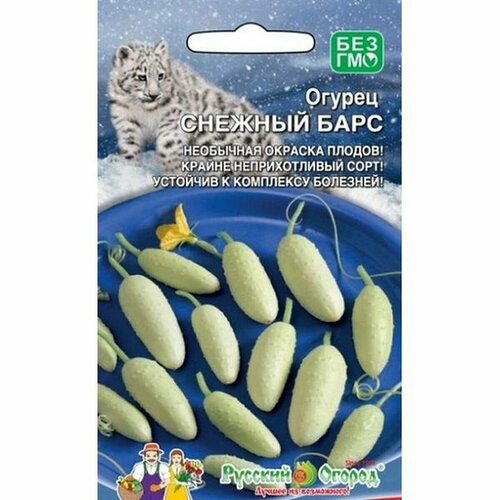 ������ ������ ������ ������ ������� ���� ��. ��. 10�� ����