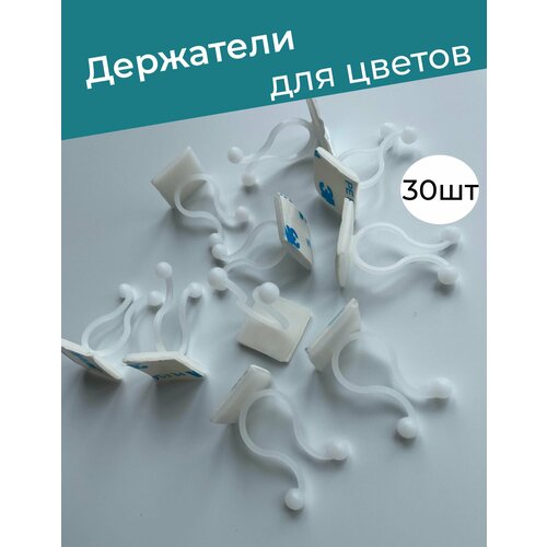 ������ ������ ����� ��������� ��� �������� ��������� 30�� ����