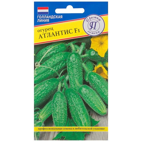 ������ ������ ������ ������ �������� F1 ����