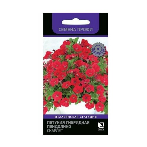 ������ ������ ������ ������� ����� ��������� ��������� ������� 5 �� ����