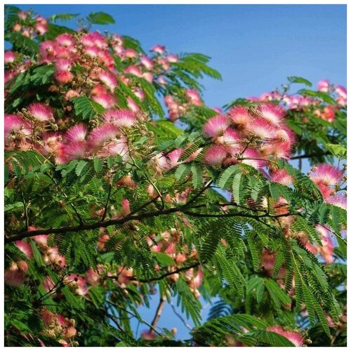 ������ ������ ������ ������ �������� ������������ 10 ��. ����