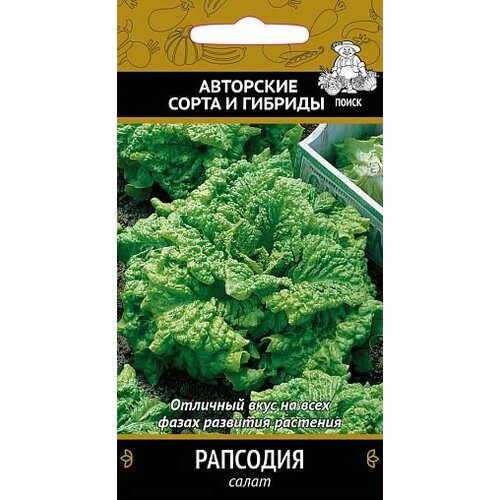 ������ ������ ������ ����� �������� �������� 1� (�����) ����� ����