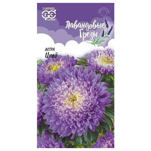 ������ ������ ������. ����� 