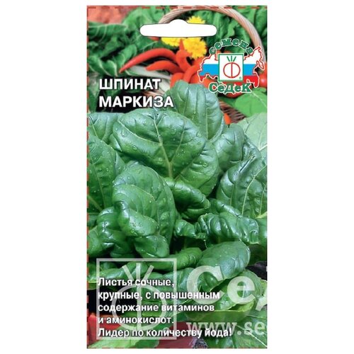 ������ ������ ������ ����� ������ ������� (2 ��������) ����