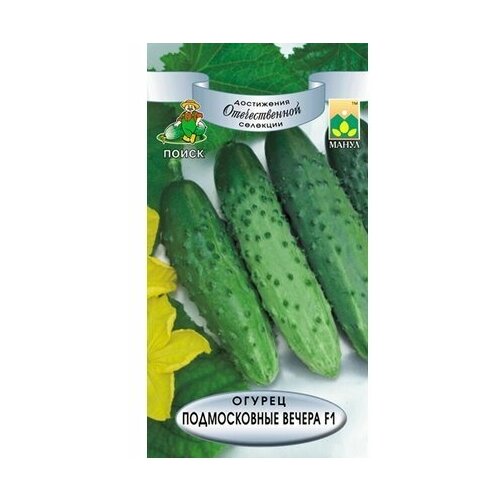 ������ ������ ����� ������ ������������ ������ ����� 12 �� ����