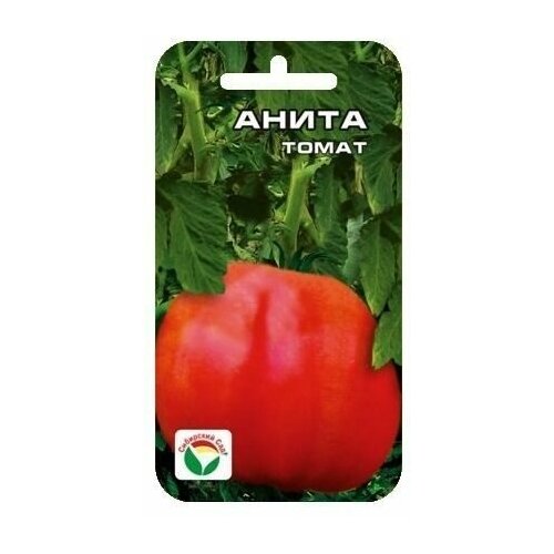 ������ ������ ����� 20�� ����� (��� ���) ����