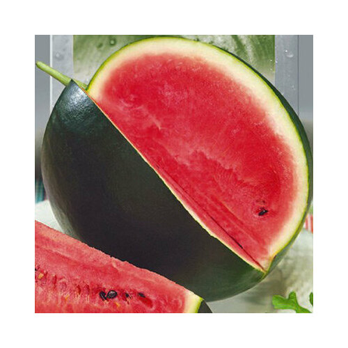 ������ ������ ������ ������ ������� ̸� (1 ��.) ����