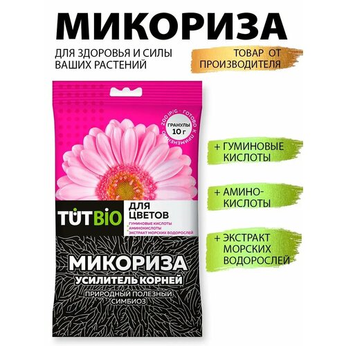 ������ ������ ��������� �������� ���������� ����� ��� �������� � ������ ����