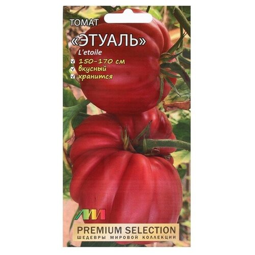 ������ ������ ������� ����� 