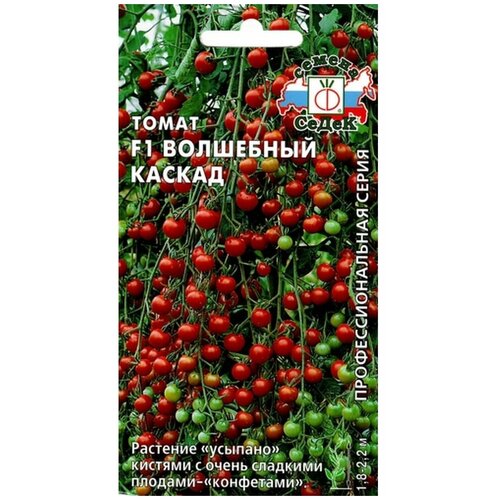 ������ ������ ������ ����� 