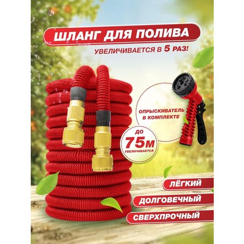 ������ ������ ����� ������� ��������������� 75 ������ ����