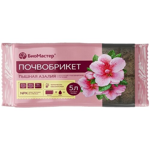 ������ ������ ����������� ��������� ������ ������ 5 � ����