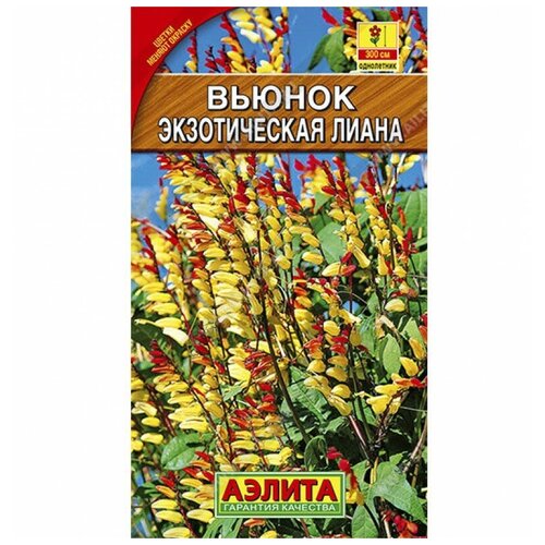 ������ ������ ������. ������ ���������� 