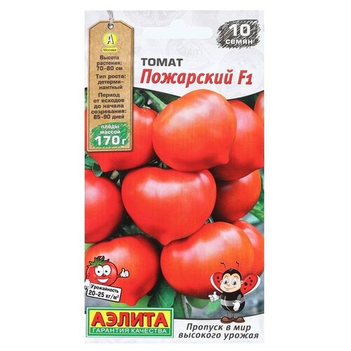 ������ ������ ������ ��������� ������ ����� ��������� F1 10 ��. ����