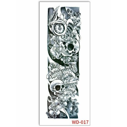 ������ ������ ���������� ��������� ���� ����� �� �������� / 43 � 15 �� ���� ����