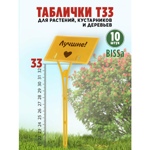 ������ ������ ������� �������� ��� ��������, Bissa �33, ������, 10 �� ����