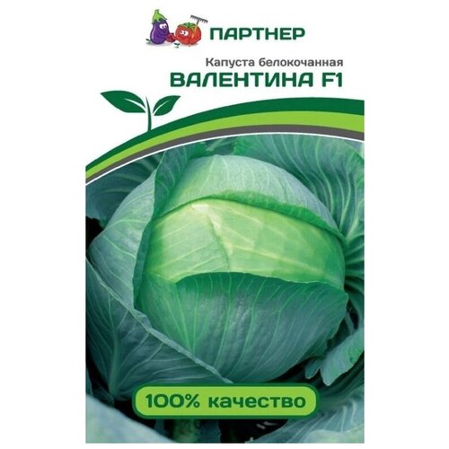 ������ ������ ������ ������� �/� ������� ��������� F1 0,2� ����