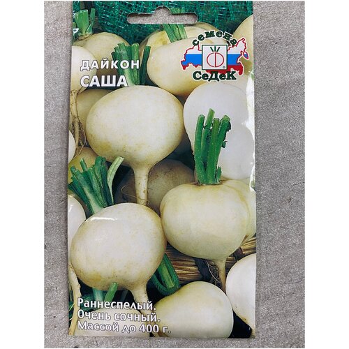 ������ ������ ������ ���� ����