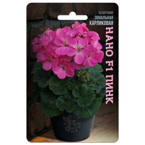 ������ ������ ������ ���������� ��������� ���������� 