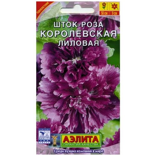 ������ ������ ������. ����-���� 