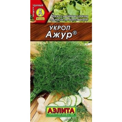 ������ ������ ����� ���� 2� ������ ����