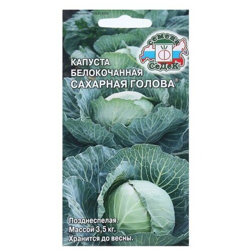 ������ ������ ������� ������������ �������� ������ ����