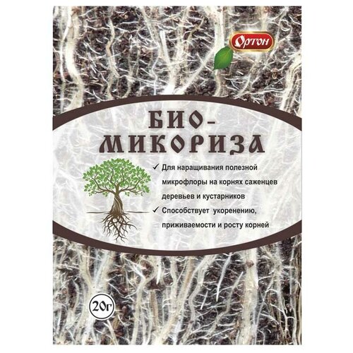 ������ ������ ���������� ���������������� 