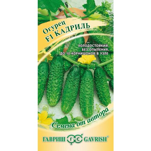 ������ ������ ������ ������ ������� F1, 10��, ������, ������ �� ������ ����