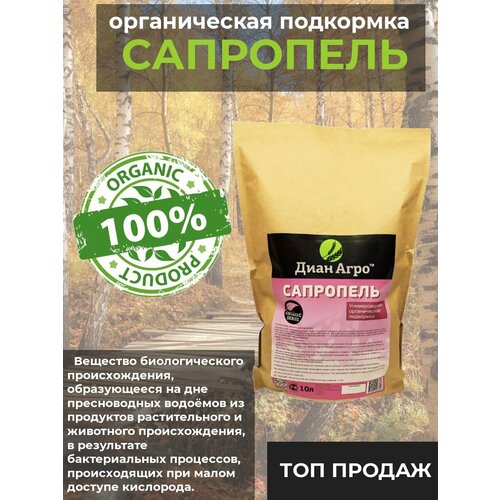 ������ ������ ��������� ������������� ������������� ��������� ����